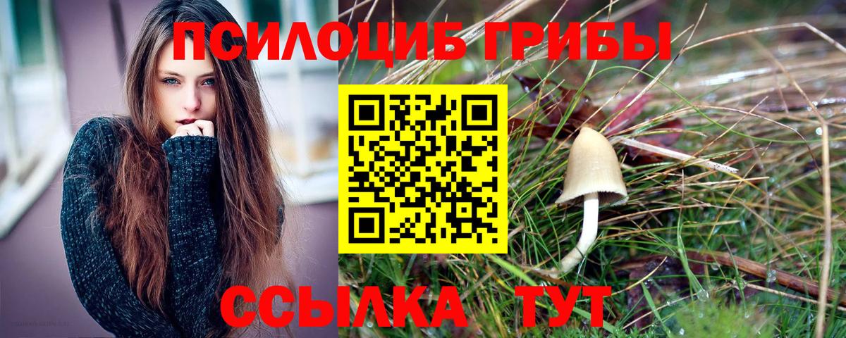 Ковров  Псилоцибиновые грибы GOLDEN TEACHER  Галлюциногенные грибы GOLDEN TEACHER  Вход с VPN 